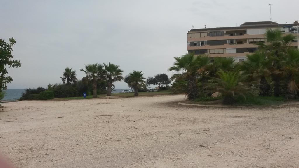 Apartment Parquemar La Mata  Oda fotoğraf