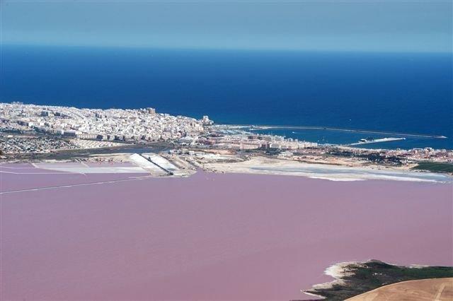 Apartment Parquemar La Mata  Oda fotoğraf
