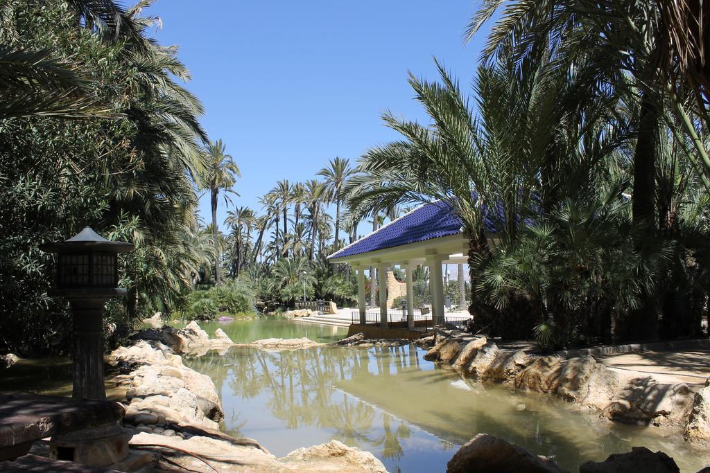 Apartment Parquemar La Mata  Dış mekan fotoğraf